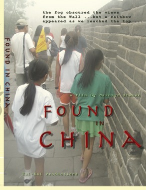 Foundinchina_dvdinsertraster