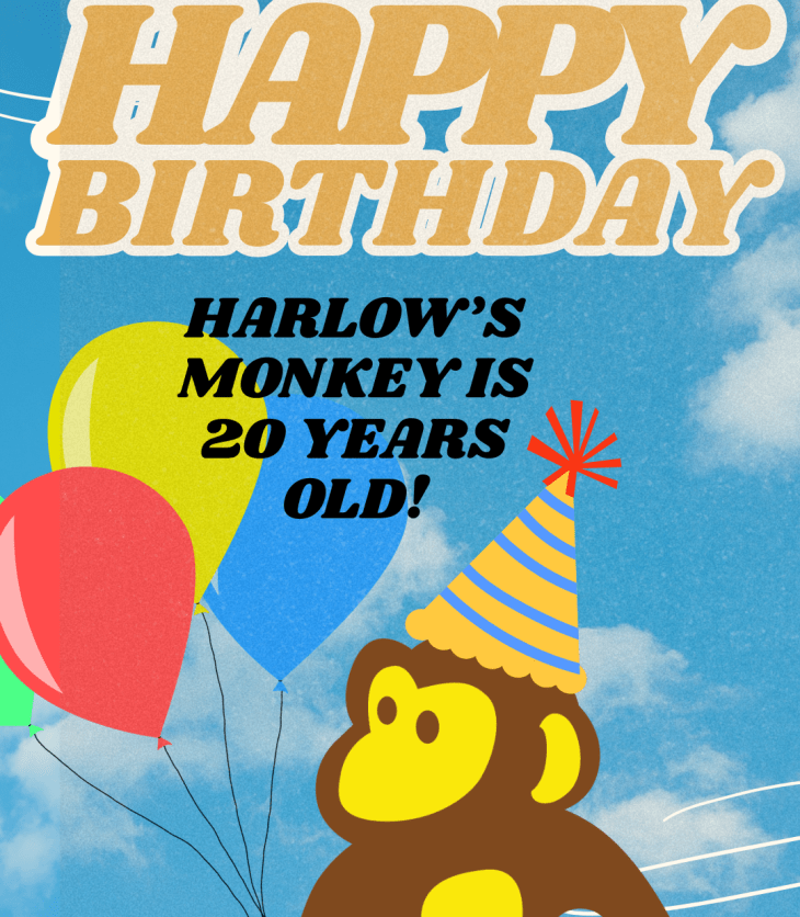 A monkey wears a striped birthday party hat and holds multicolored balloons. The text says Happy Birthday. Harlow's Monkey is 20 years old!